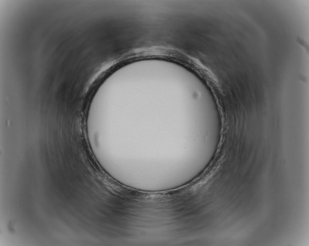 X0000098201166200804241031