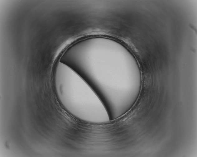 X0000098201167200804241031