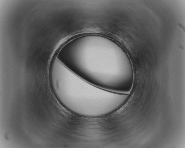 X0000098201168200804241031