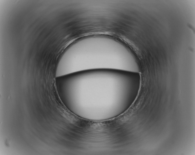 X0000098201169200804241031