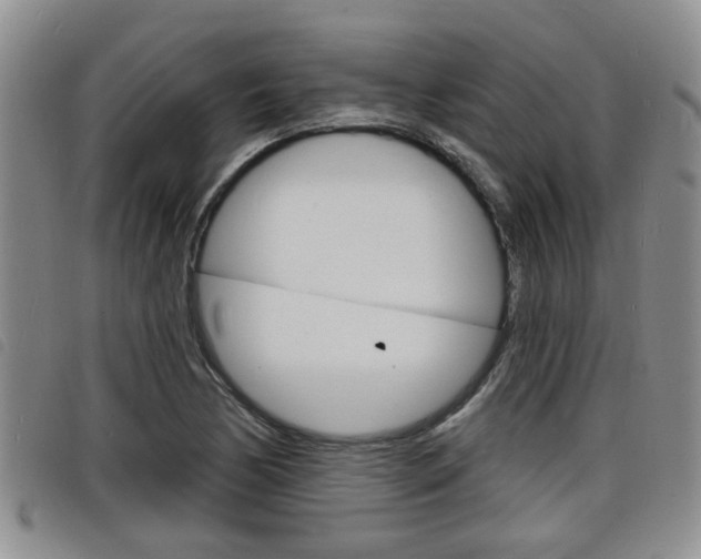 X0000098201170200804241031