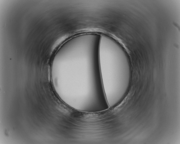X0000098201171200804241031