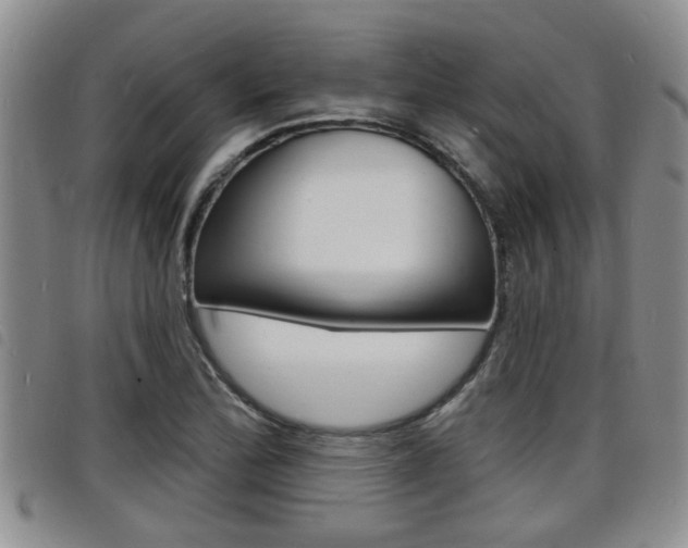 X0000098201172200804241031