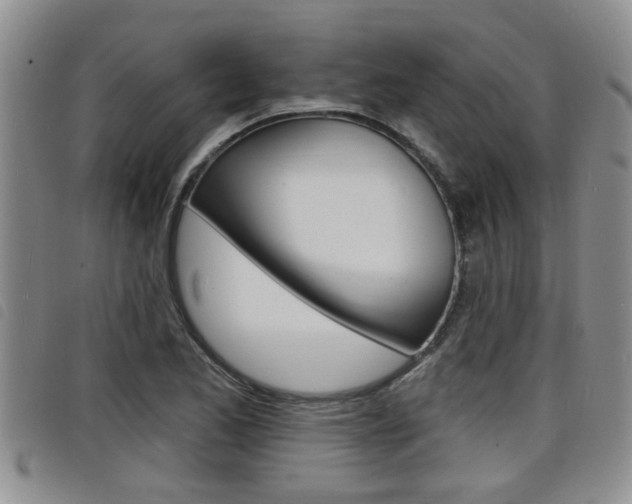 X0000098201173200804241031