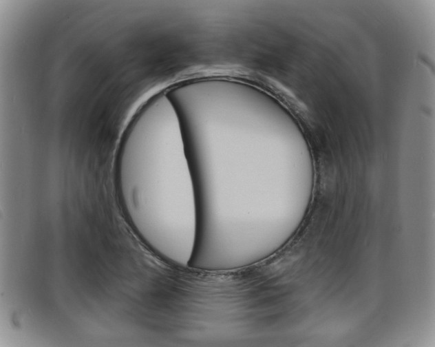 X0000098201174200804241031