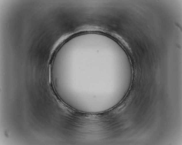 X0000098201175200804241031
