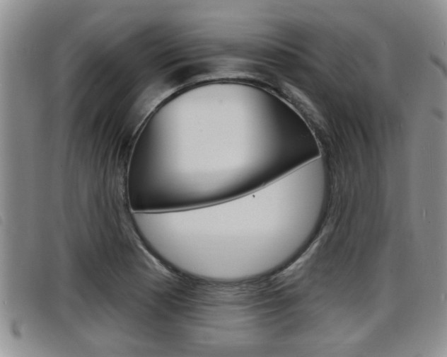 X0000098201177200804241031