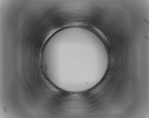 X0000098201178200804241031