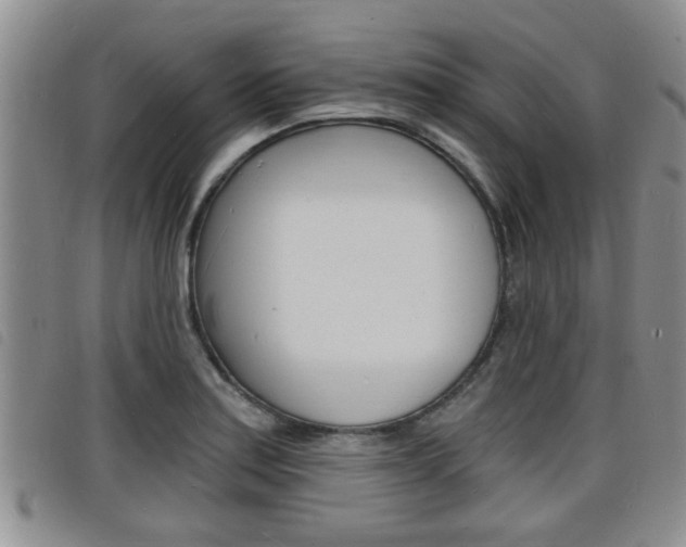 X0000098201179200804241031