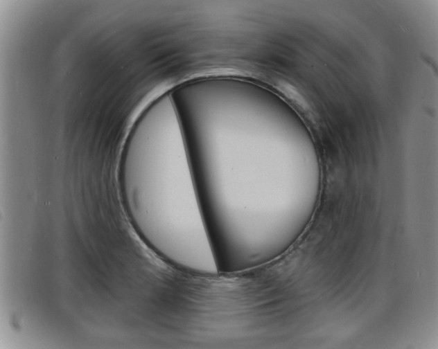 X0000098201181200804241031