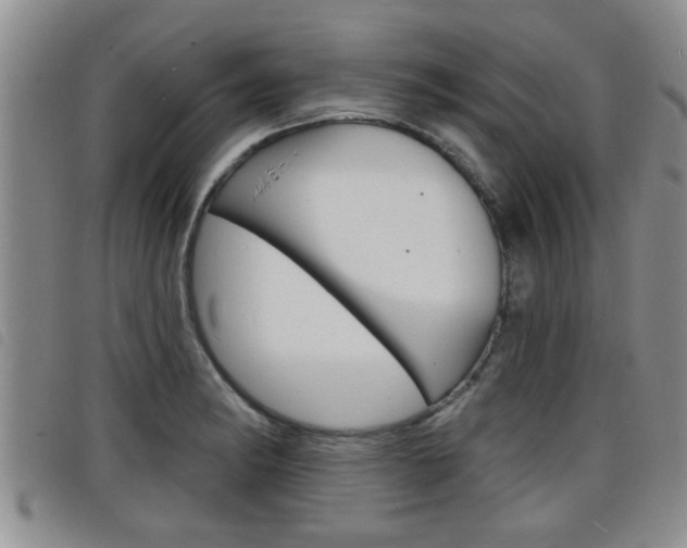 X0000098201182200804241031