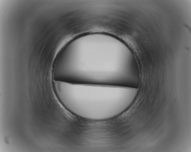 X0000098201183200804241031