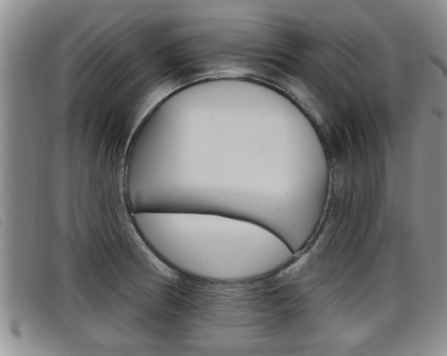 X0000098201186200804241031