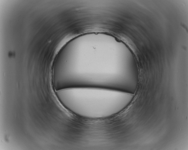 X0000098201187200804241031