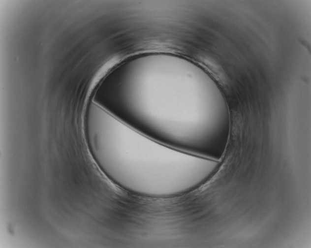 X0000098201188200804241031