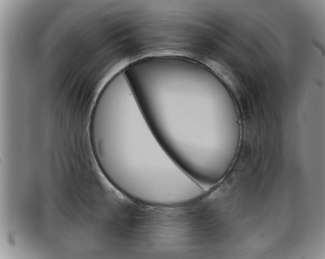 X0000098201189200804241031