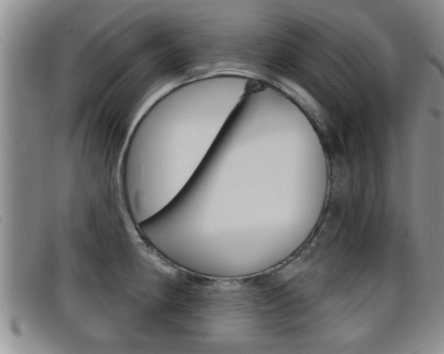 X0000098201190200804241031