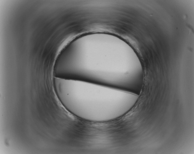 X0000098201191200804241031