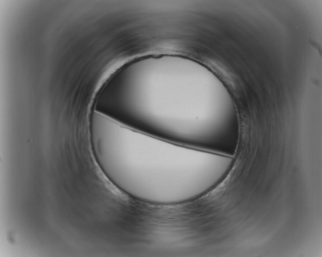 X0000098201192200804241031
