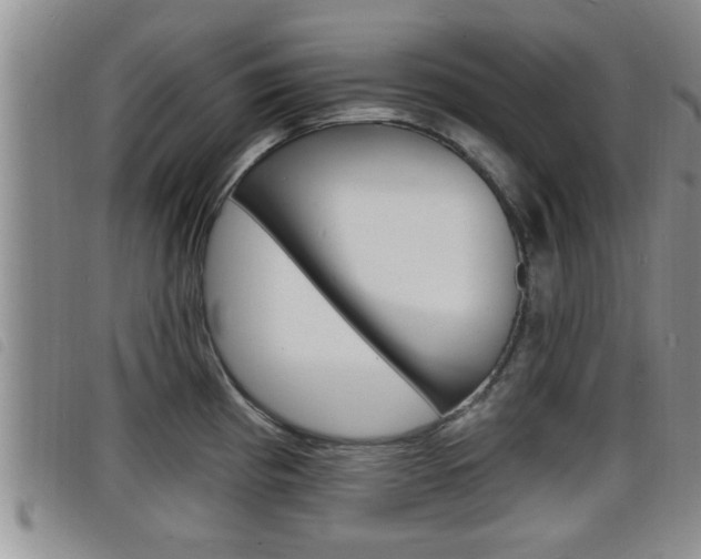 X0000098201193200804241031