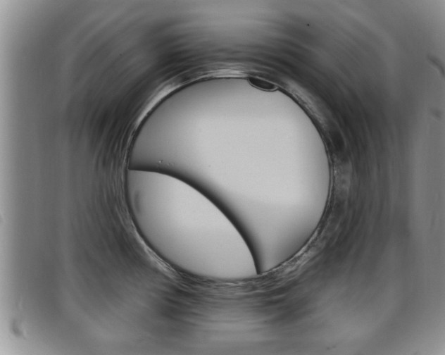 X0000098201194200804241031