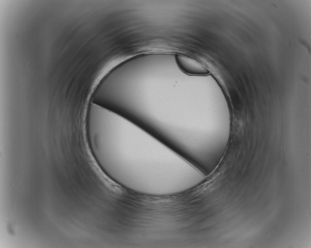 X0000098201195200804241031
