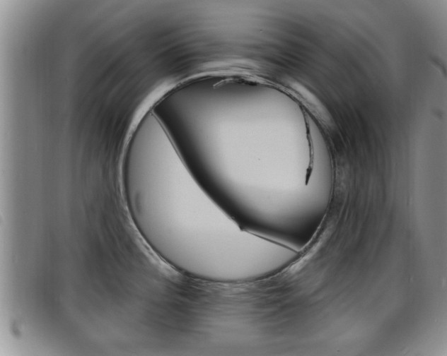 X0000098201196200804241031