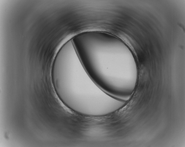 X0000098201197200804241031