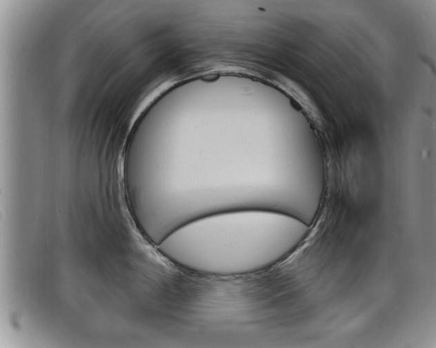 X0000098201198200804241031