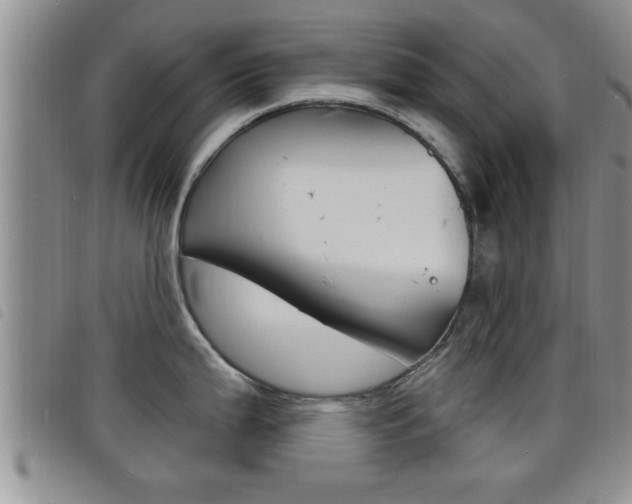 X0000098201199200804241031