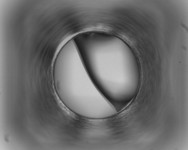 X0000098201200200804241031