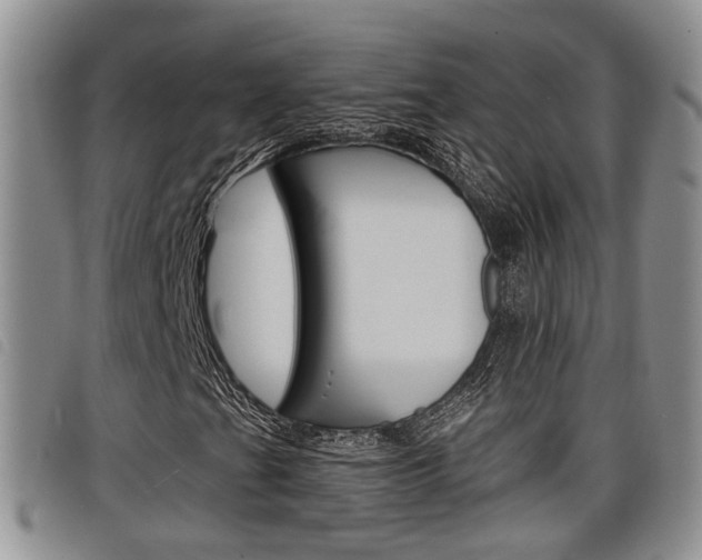 X0000098201201200804241030