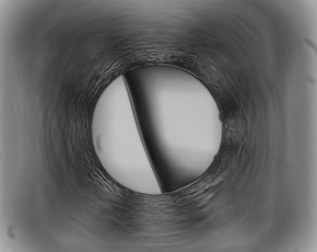 X0000098201202200804241030