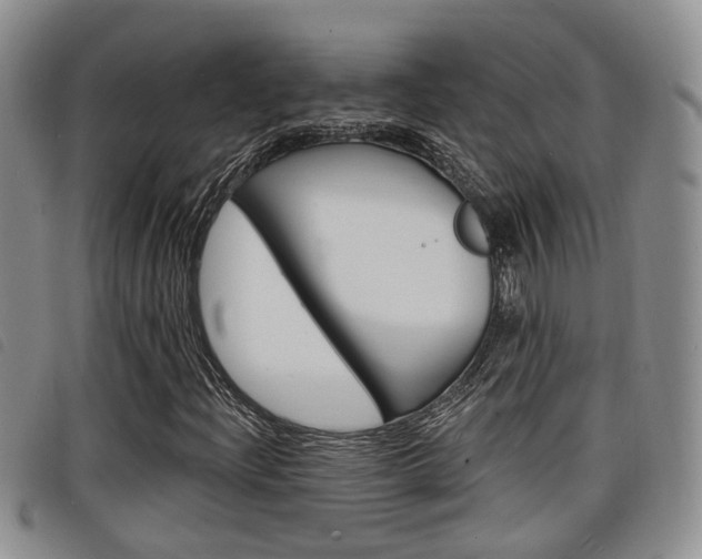 X0000098201204200804241030