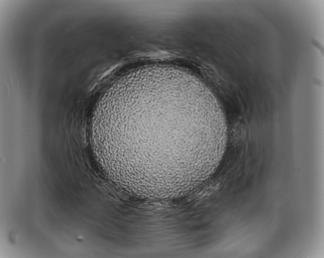 X0000098201205200804241030