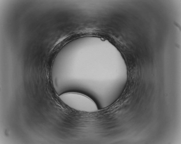 X0000098201206200804241030