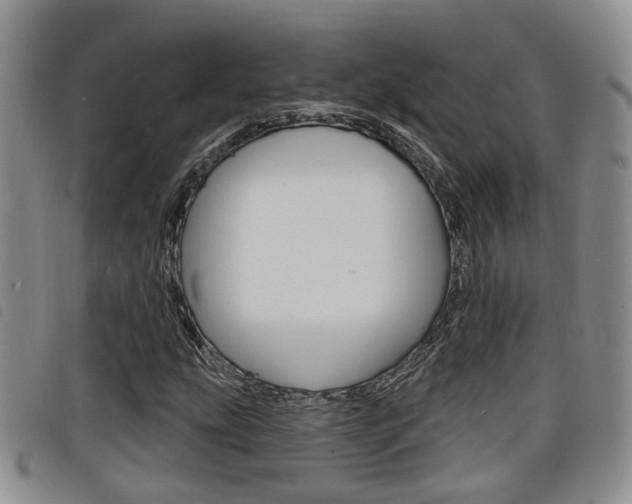 X0000098201207200804241030