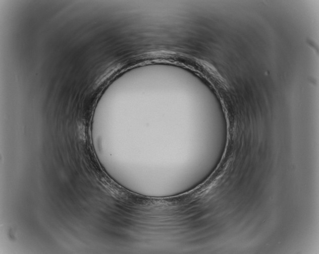 X0000098201209200804241030