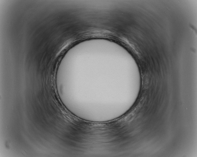 X0000098201211200804241030