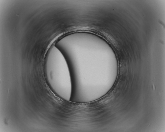 X0000098201212200804241030