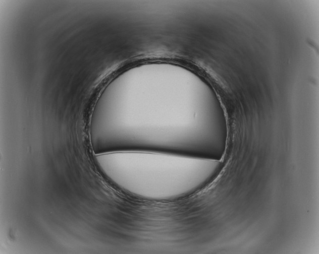 X0000098201213200804241030