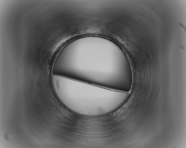 X0000098201214200804241030