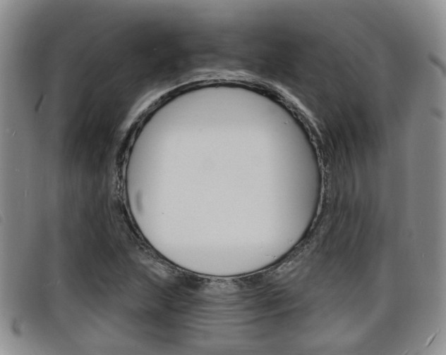 X0000098201215200804241031