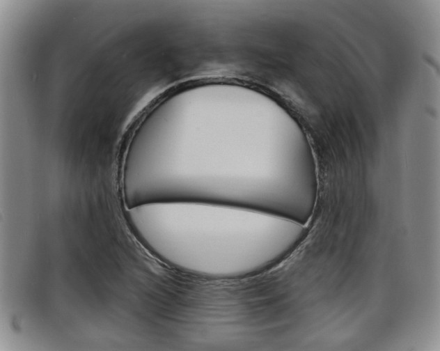 X0000098201216200804241031
