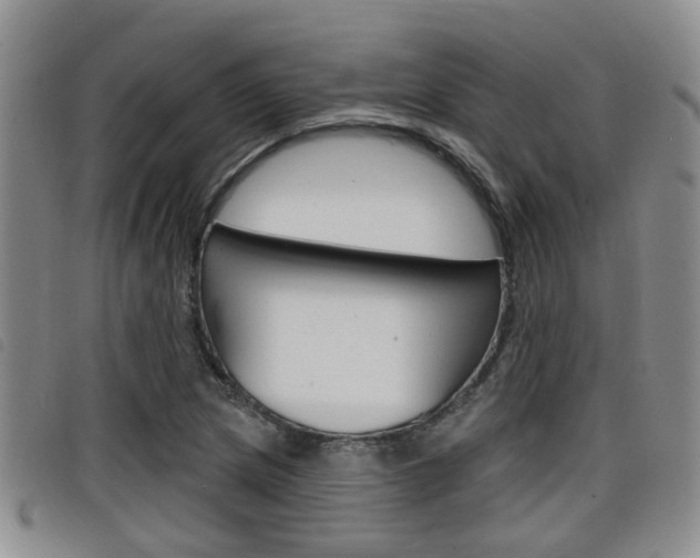 X0000098201217200804241031