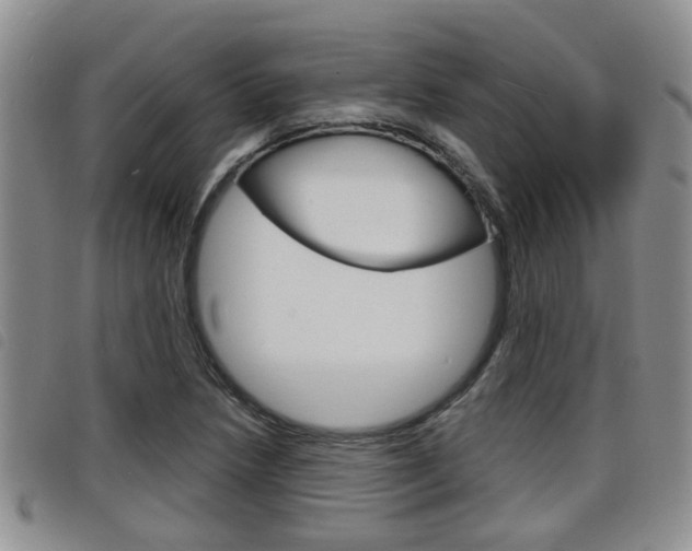 X0000098201218200804241031
