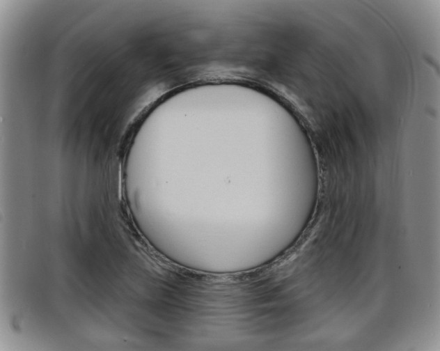 X0000098201219200804241031