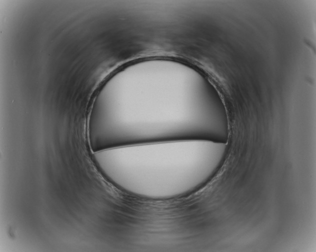 X0000098201220200804241031