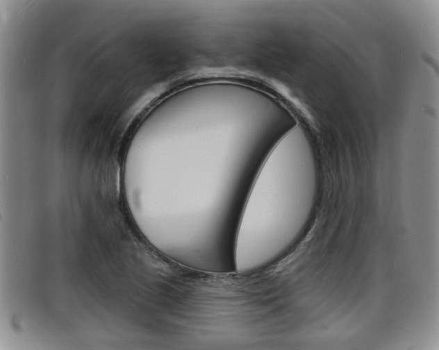 X0000098201221200804241031