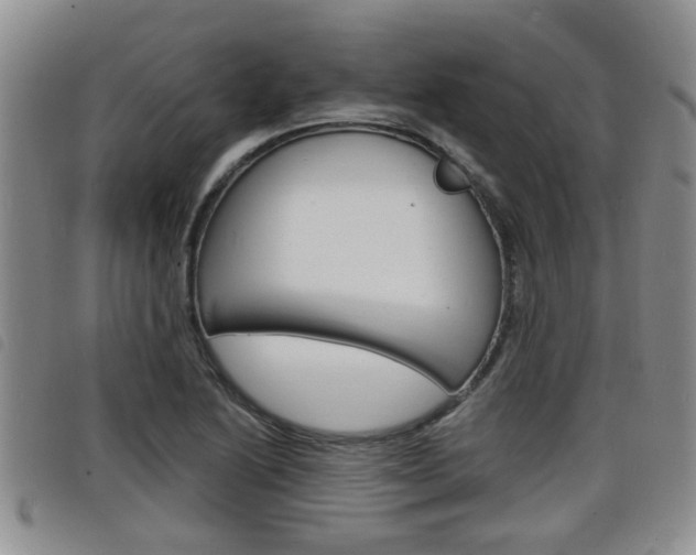 X0000098201222200804241031